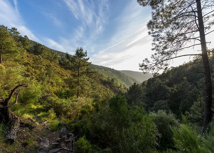 Cerdeira - For Creativity Lousã